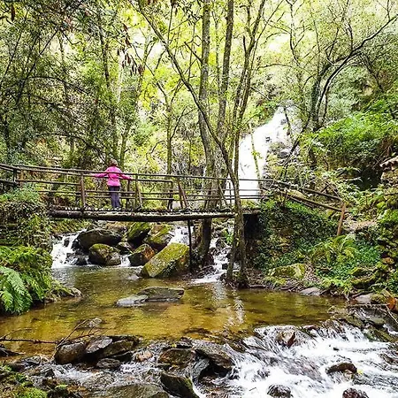 Cedrim Hillside Chalet *