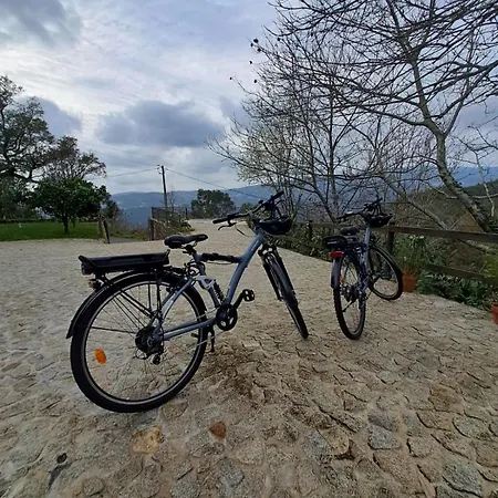 Cedrim Hillside *