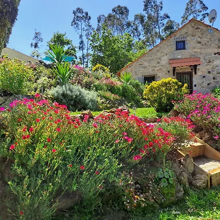 Σαλέ Cedrim Hillside