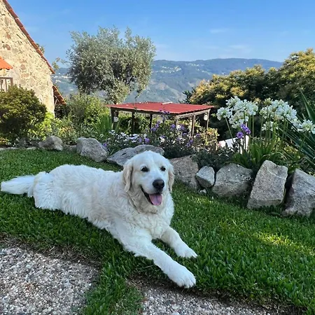 Cedrim Hillside Север-ду-Вога