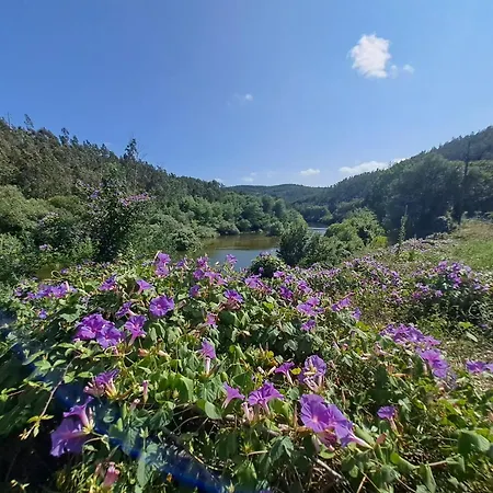 Alpesi faház Cedrim Hillside *
