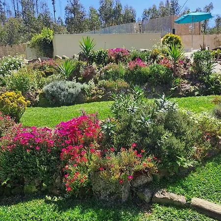 Cedrim Hillside Шале