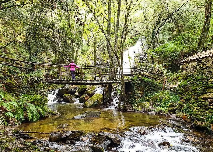 Cedrim Hillside Alpstuga *