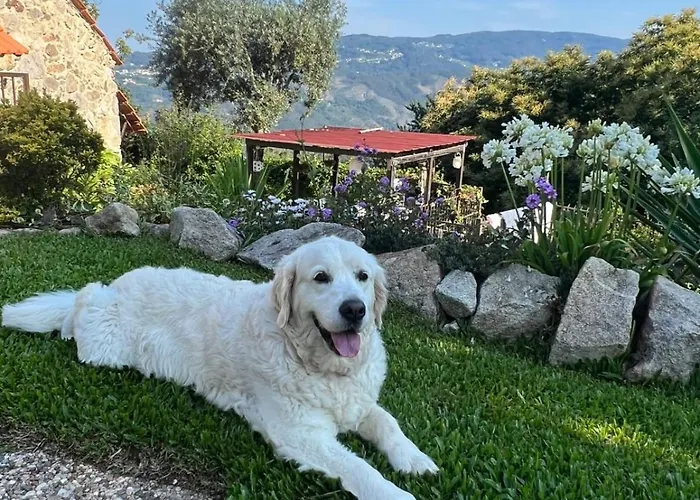 Cedrim Hillside Sever do Vouga