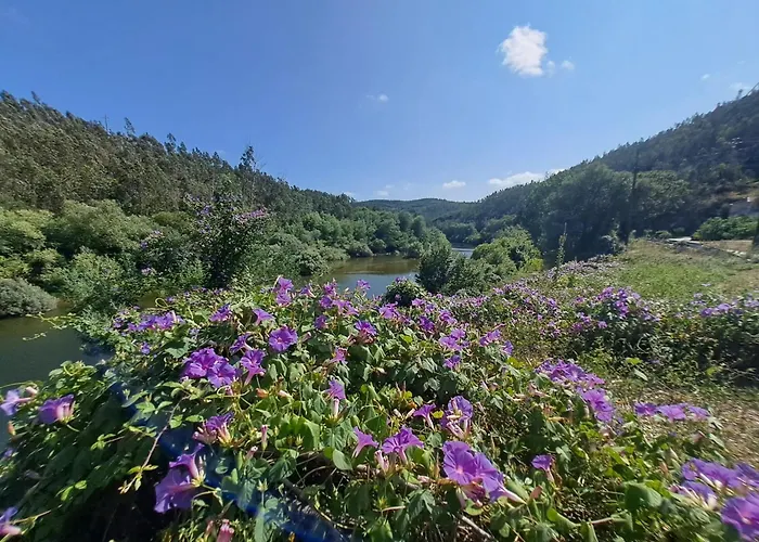 Horská chata Cedrim Hillside *