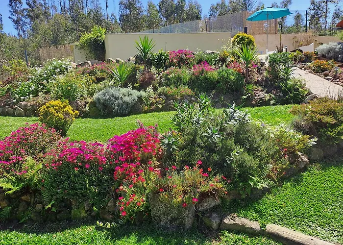 Cedrim Hillside Alpstuga